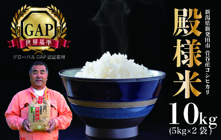 �V�����Y �z�㐛�J�a�l�� 10�s �ߘa7�N�Y �y �V�����Y �V���c�Y �� 10kg �z�㐛�J �a�l�� �R�V�q�J�� echigosugatani001 �z