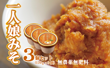 一人娘みそ 味噌 ミソ 味噌汁 みそ汁 発酵 無農薬 無肥料 自然栽培 大豆 味噌 新潟県 新潟 新発田市 新発田 ジョブプレイス夢ある小路 yumearu002