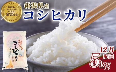 yߘa7NYz 12 RVqJ 5kg V V shibatafarm004_2025_12_01