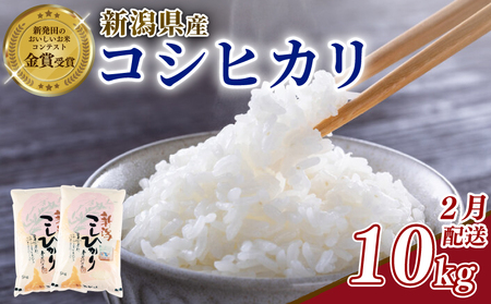 �y�ߘa7�N�Y�z 2������ �R�V�q�J�� 10kg �V�� �V�� shibatafarm006_2026_02