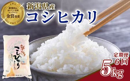 �y6�����ցz�ߘa7�N�Y�V�� �R�V�q�J�� 5kg ����� ���� ���� shibatafarm008