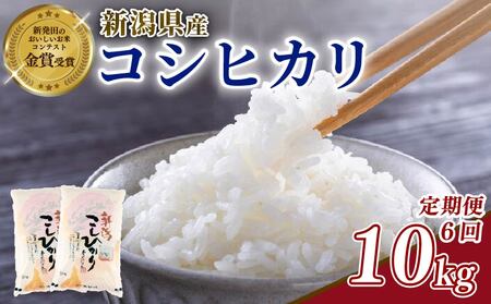 �y6�����ցz�ߘa7�N�Y�V�� �R�V�q�J�� 10kg ����� ���� ���� shibatafarm010