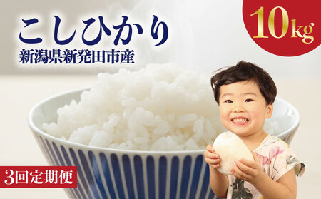 【3回定期便】令和7年産 コシヒカリ 10kg 定期便 精米 白米 【玄米対応不可】 noguchi006_01
