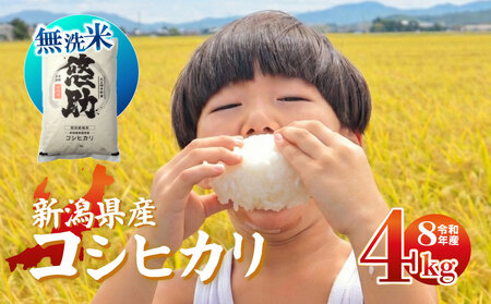 [先行予約]令和8年産 無洗米 コシヒカリ 4kg コシヒカリ コシヒカリ kwsMKH