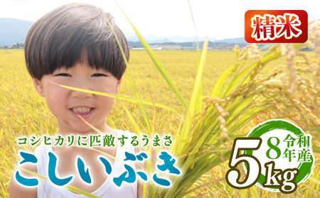 [先行予約]令和8年産 こしいぶき 精米 5kg 新発田市産 こしいぶき kwsKI