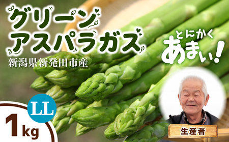 [とにかく甘い!] グリーンアスパラガス LLサイズ 1kg アスパラ 甘い 太い 柔らかい 新潟 新発田 朝採り 新鮮 野菜 アスパラガス グリーンタワー 春野菜 特産品 旬 肉 巻き 朝採れ 産地直送 農家 菅谷 新潟県 新発田市 蔵光グリーンファーム kuramitsu003