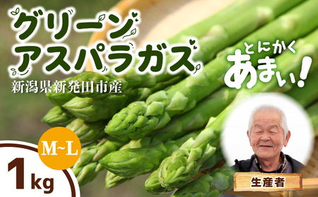 [とにかく甘い!] グリーンアスパラガス M~Lサイズ 1kg アスパラ 甘い 太い 柔らかい 新潟 新発田 朝採り 新鮮 野菜 アスパラガス グリーンタワー 春野菜 特産品 旬 肉 巻き 朝採れ 産地直送 農家 菅谷 新潟県 新発田市 蔵光グリーンファーム kuramitsu004