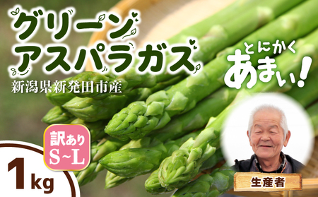 [とにかく甘い!] 訳あり アスパラガス S~Lサイズ 1kg アスパラ 甘い 太い 柔らかい 新潟 新発田 朝採り 新鮮 野菜 グリーンアスパラガス グリーンタワー 夏野菜 特産品 旬 肉 巻き 朝採れ 産地直送 農家 菅谷 ワケあり 理由あり 細め 新潟県 新発田市 蔵光グリーンファーム kuramitsu005