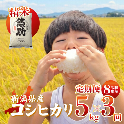 先行予約 令和8年産 コシヒカリ 定期便 5kg 3回 15kg 特別栽培米 コンテスト 入賞 [ コンテスト 入賞米 おこめ お米 ブランド ご飯 ごはん オニギリ お弁当 kome 送料無料 数量限定 農家直送 産地直送 国産 川瀬農園 四代目 悠助 新潟 新発田 kwsKH004_202609 ]