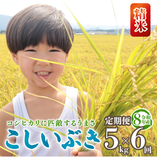 令和8年産 こしいぶき 定期便 5kg 6回 30kg 新潟 6か月 先行予約 新米 越後の新しい息吹 コシヒカリ の遺伝子を引き継ぐ 米 おこめ お米 ご飯 ごはん オニギリ お弁当 kome 送料無料 数量限定 農家直送 産地直送 国産 川瀬農園 四代目 悠助 新潟 新発田 kwsKI004_202609