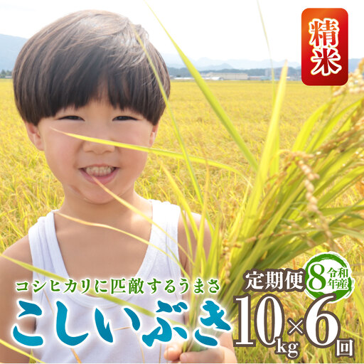 令和8年産 こしいぶき 定期便 10kg 6回 60kg 新潟 先行予約 新米 6か月 越後の新しい息吹 コシヒカリ の遺伝子を引き継ぐ 米 おこめ お米 ご飯 ごはん オニギリ お弁当 kome 送料無料 数量限定 農家直送 産地直送 国産 川瀬農園 四代目 悠助 新潟 新発田 kwsKI006_202609