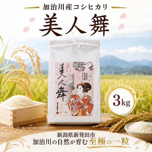 [美しさピカイチ]令和7年産 コシヒカリ 3kg 精米 こしひかり 米 お米 こめ ごはん ご飯 ライス 朝食 昼食 夕飯 炊きたて 希少 プレミアム 美人舞 こだわり 美しさ かがやき 輝き JGAP GAP認証 和食 自然 加治川 加治川産 新潟 新潟 新潟県 新発田 新発田市 新発田 アグリ