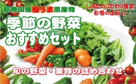 季節の野菜おすすめセット [ 野菜 セット 季節 旬 新鮮 常備菜 おすすめ C31_02 ]