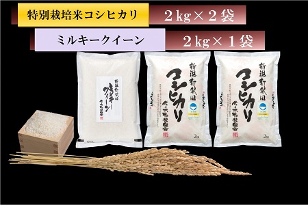 令和5年産 こだわりのお米 食べ比べセット【 新潟県 新発田市 コシヒカリ 特別栽培米 ミルキークイーン 2kg 6kg 3袋 米 D07 】