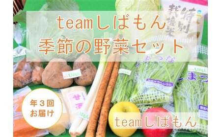 [年3回]teamしばもん 季節の野菜セット [ 野菜 セット しばもん 生産者直送 年3回 定期便 新発田市 新潟県 C17_01 ]