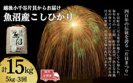 YRVqJ  5kg×3u n