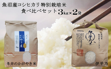 16P3 魚沼産コシヒカリ3kg2袋 特別栽培米食べ比べセット(うちがまき 絆)(アスカ冬井)