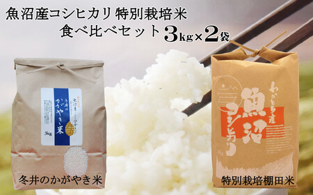 16P55 魚沼産コシヒカリ3kg2袋 特別栽培米食べ比べセット(Mt.ファーム わかとち)(アスカ冬井)