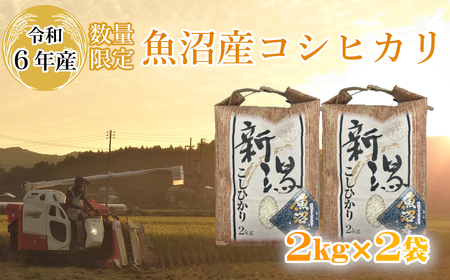[数量限定]令和6年産 魚沼産コシヒカリ 2kg×2袋 精米 宮内農園 [0002-0267-01]