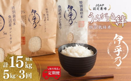 yJGAPFؔ_zߘa7NY YRVqJ ʍ͔|āuɌTv Čv15kgi5kg×1܁j ֖S3 ܂Jy0002-UK11DB00-01z