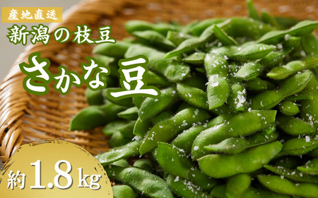 小千谷産枝豆 約1.8kg 農園つなり/枝豆 枝豆 枝豆 枝豆