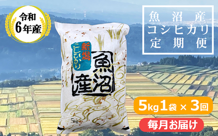 KY44P408 [共栄農工社] 令和6年産 魚沼産コシヒカリ 定期便5kg×3回/毎月お届け 白米 魚沼 米 定期便