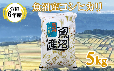 KY15P405 [共栄農工社] 令和6年産 魚沼産コシヒカリ 5kg 白米 魚沼 米