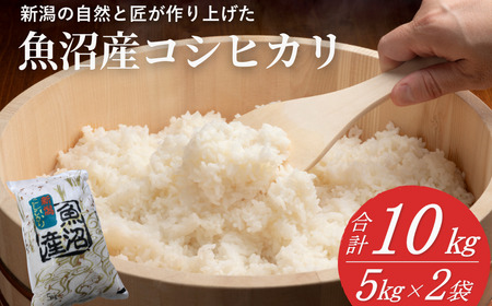 yߘa7NY Vė\z YRVqJ 10kg(5kg×2) h_H YRVqJ