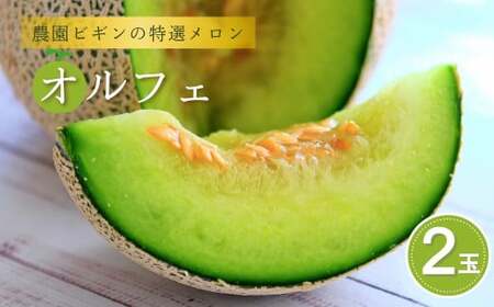 [先行予約]令和7年度産 メロン オルフェ 2玉 農園ビギン [0002-0330-01]