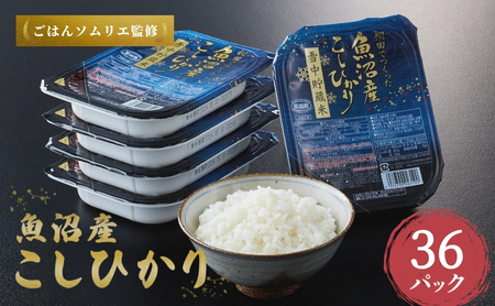 魚沼産コシヒカリ 雪中貯蔵米 パックご飯36個 たかの パックご飯