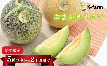 K-farmのこだわりメロン 5種類の中から おまかせ 厳選 2玉