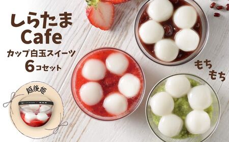 しらたまcafe カップ白玉スイーツ(越後姫) 6個セット たかの しらたま しらたま しらたま しらたま 白玉 白玉 白玉 白玉