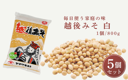 越後みそ白800g×5個 山崎醸造/味噌 味噌 味噌 味噌 味噌