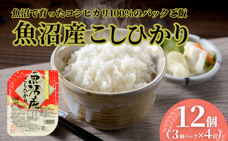 魚沼産こしひかり パックご飯 12個 たかの /魚沼産コシヒカリ パックご飯