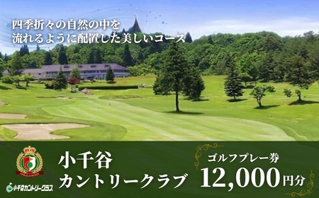 [小千谷カントリークラブ]ゴルフプレー券12000円(1000円×12枚) 緑豊かな風景を楽しみながら