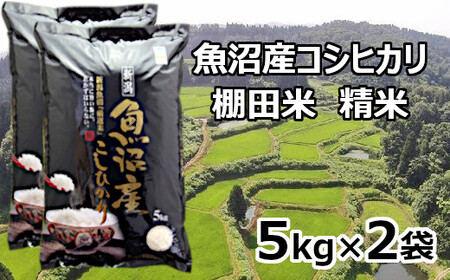 [令和7年産 新米 先行予約]魚沼産コシヒカリ棚田米 10kg(5kg×2袋) 佐藤農場