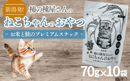柿の種屋さんのねこちゃんのおやつ お米と鮭のプレミアムスナック10個セット 阿部幸製菓[0002-0387-01]