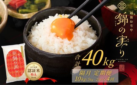 ����J�s�u�����h�F�ؕ� �т̎��� ��A�����N 5kg2��×4��u�����͂� �����Y �R�V�q�J�� | 40kg ����� �V���� ���� �ߘa7�N