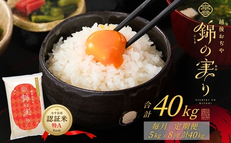 ����J�s�u�����h�F�ؕ� �т̎��� ��A�����N 5kg×8�����A�����͂� �����Y �R�V�q�J�� | 40kg ����� �V���� ���� �ߘa7�N