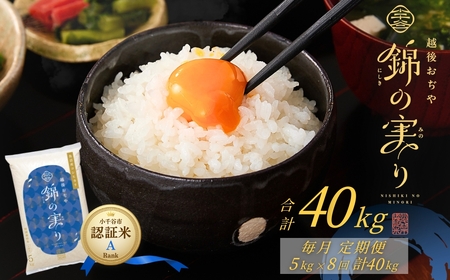 ����J�s�u�����h�F�ؕ� �т̎��� A�����N 5kg×8�����A�����͂� �����Y �R�V�q�J�� | 40kg ����� �V���� ���� �ߘa7�N