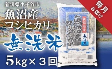 先行予約 魚沼産コシヒカリ 無洗米 15kg 新潟県 | 5キロ×3回 毎月 定期便 無洗