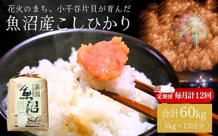 魚沼産コシヒカリ 5kg×12回毎月お届け 米萬商店 | 60kg 定期便 新潟県 魚沼 令和7年