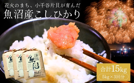 魚沼産 こしひかり 15kg 魚沼地域 こしひかり 米萬商店