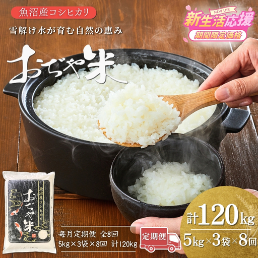 魚沼産コシヒカリ 令和7年 定期便 「おぢや米」 120kg（15キロ×8回）| 特A 新潟県 小千谷市 魚沼地域