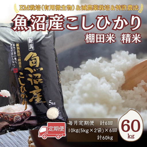 [令和7年 定期便]魚沼産コシヒカリ 60kg(10キロ×6回) 佐藤農場 | 新潟県 おこめ コシヒカリ 小千谷