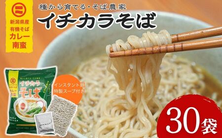 蕎麦 インスタント蕎麦 イチカラそば カレー南蛮 1ケース 30入り イチカラ畑 | ゆで時間2分半 有機そば全粒粉使用 有機栽培 インスタント インスタント麺 そば 蕎麦 ソバ カレー 南蛮 新潟県 小千谷市[0021-0016-01]