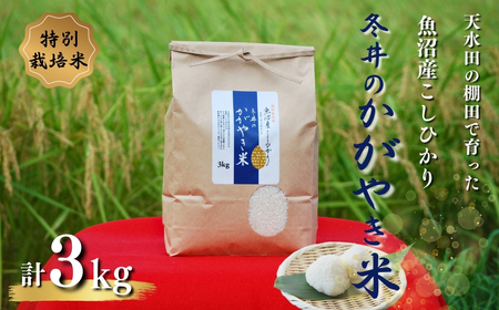 y ߘa7NY s\ zYRVqJ ~̂₫ 3kg