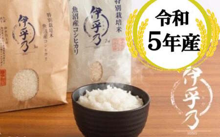 U10P12 令和5年産 魚沼産コシヒカリ特別栽培米「伊乎乃」3kg JGAP認証農場 白米 魚沼 米
