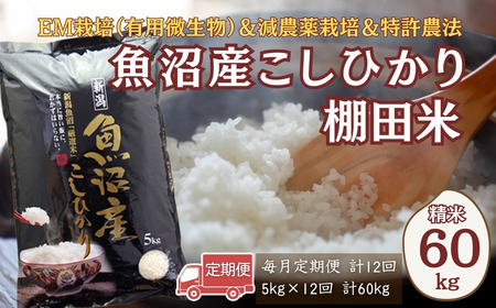 [令和7年 定期便]魚沼産コシヒカリ棚田米 60kg(5キロ×12回) 佐藤農場 | 新潟県 コシヒカリ おこめ