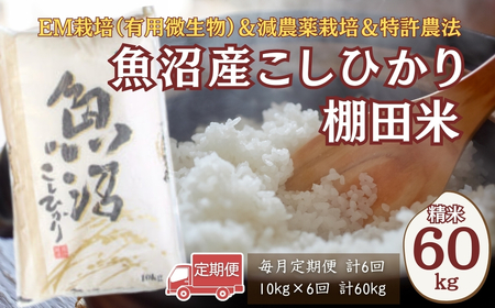 [令和7年 定期便]魚沼産コシヒカリ棚田米 60kg (10キロ×6回) 佐藤農場 | 新潟県 コシヒカリ おこめ